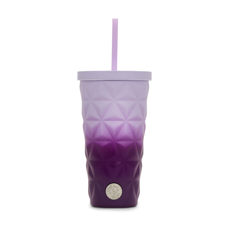 20oz Stainless Steel Tumbler w/ Straw (Purple Gradient)