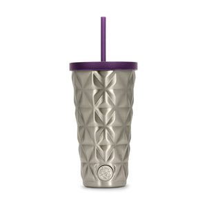 20oz Stainless Steel Tumbler w/ Straw (Silver & Purple)