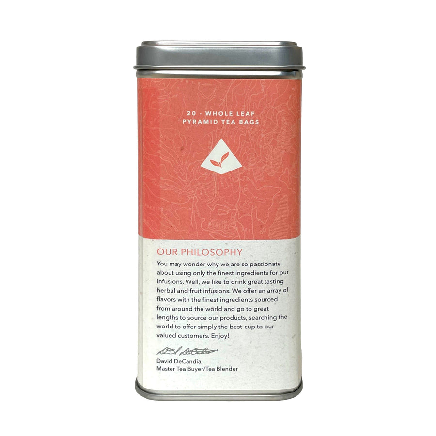 PG Tips Tea Caddy With 40 Original Pyramid Tea Bags Reviews 2024